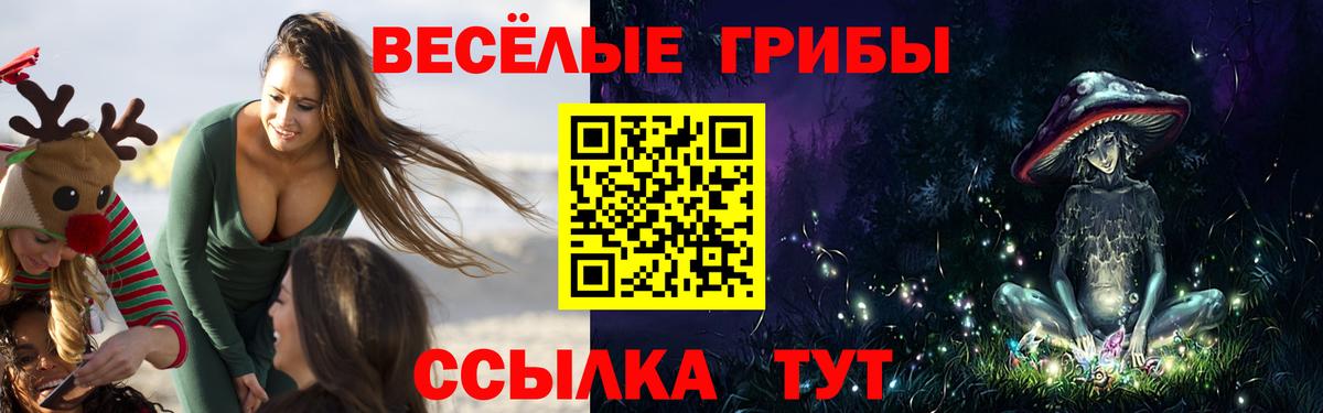 Псилоцибиновые грибы прущие грибы Артёмовский